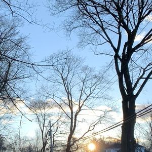 Meet your Posher, Amalie